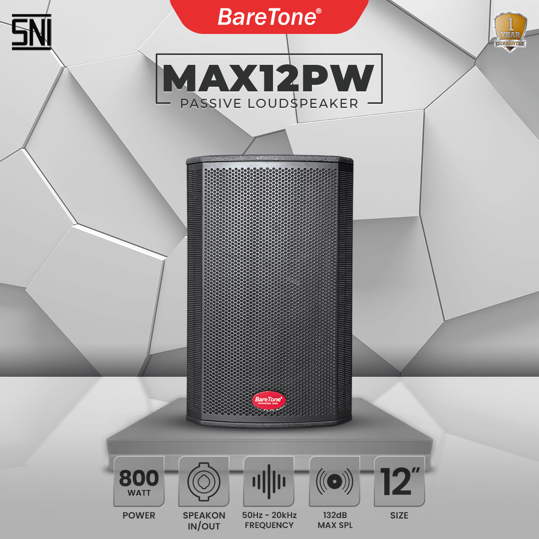 MAX12PW